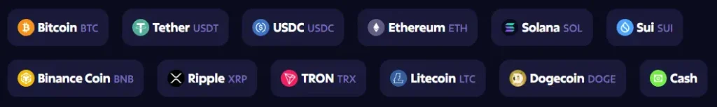 Payment Options at Crypto Casino Roobet